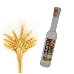 Bierbrand Bad Freienwalde